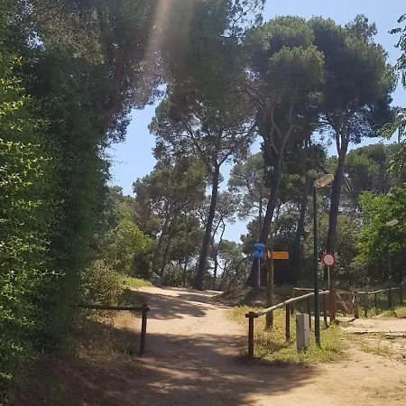 Apartman Clotilde Next To The Beach *